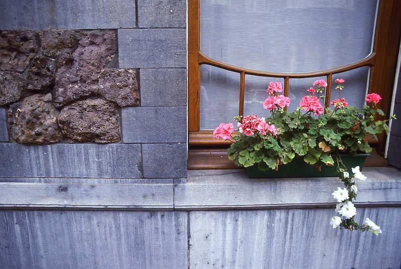 WT 2000 255-27 Belgium.jpg